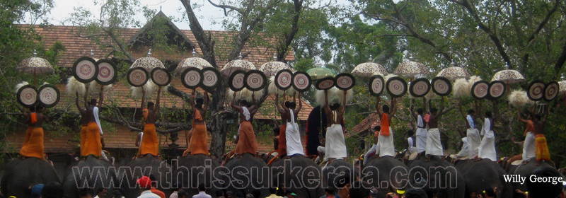 thrissur-pooram-2010 (53)